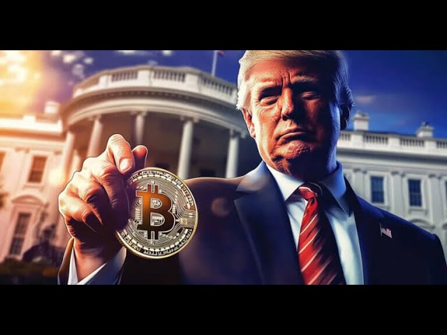 Bitcoin Soars to Record High Above $77,000 Amid Trump Reelection Boost